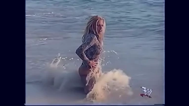 WWE Divas bikini montage 2!